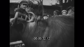 Footage frame